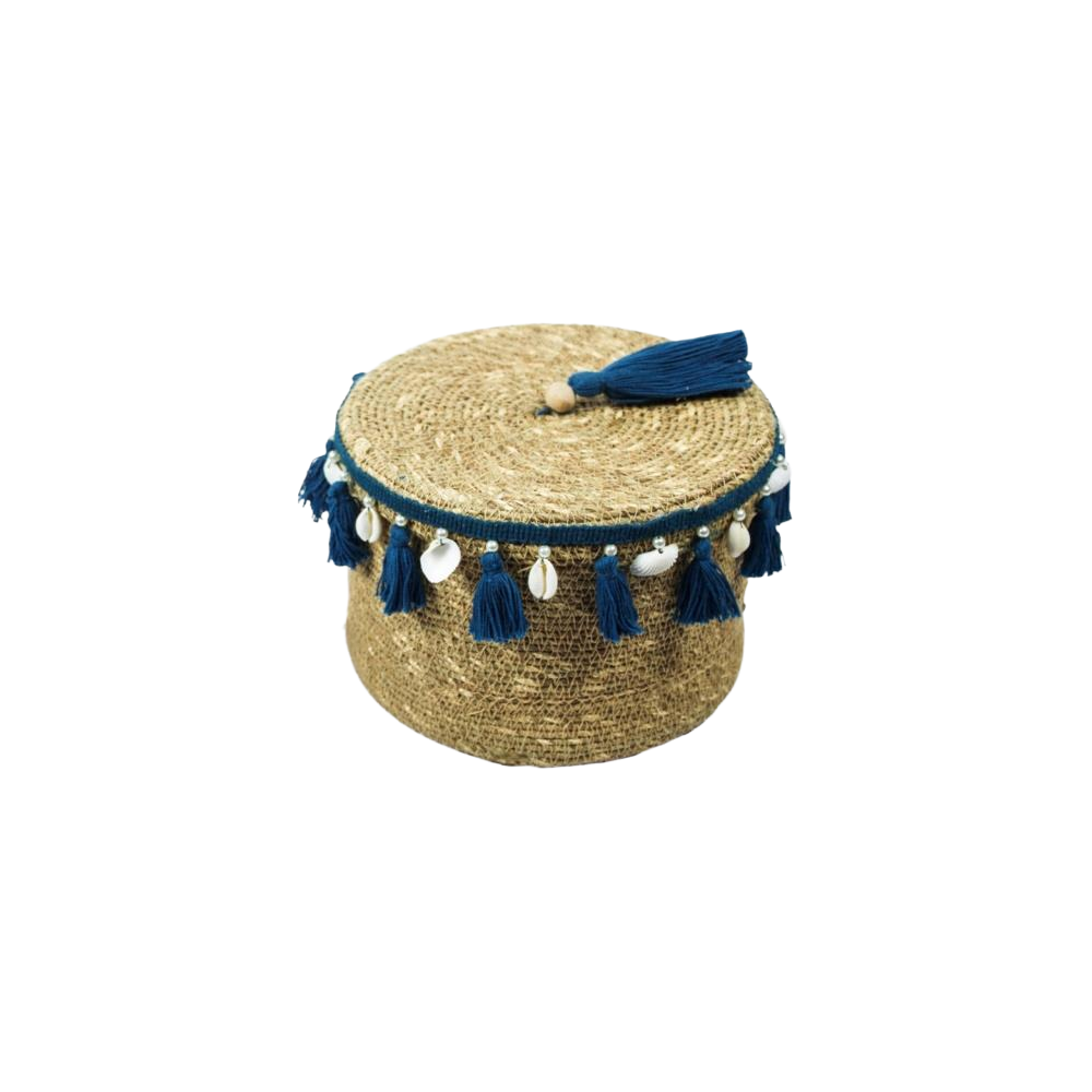Cesto com tampa detalhado  - Azul