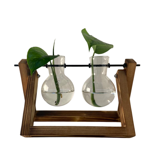 Vaso em vidro para planta hidropônica com 2 bulbos