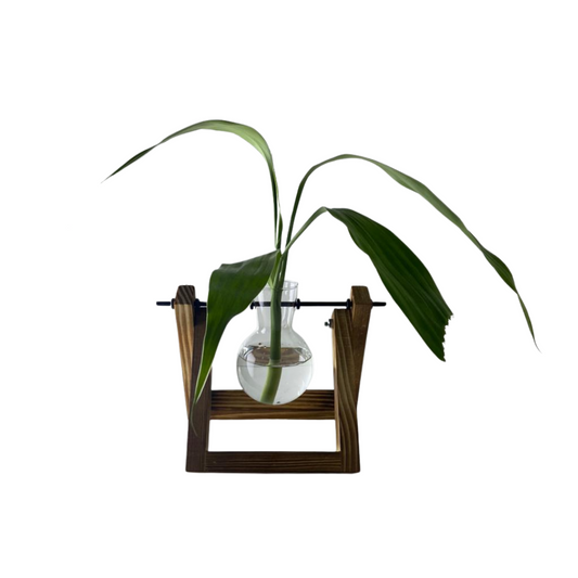 Vaso em vidro para planta hidropônica com 1 bulbo