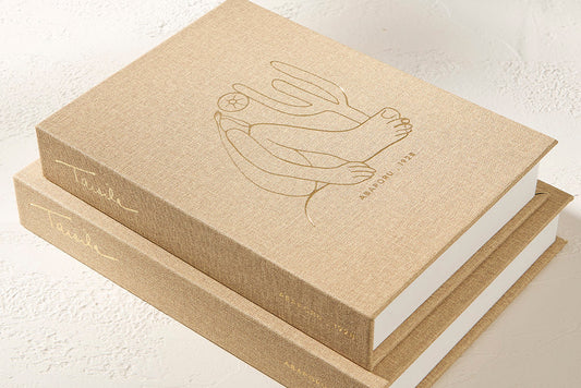 Livro Caixa Decorativo Abaporu – Tarsila do Amaral