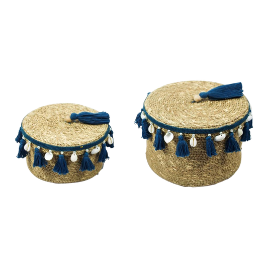 Cesto com tampa detalhado  - Azul
