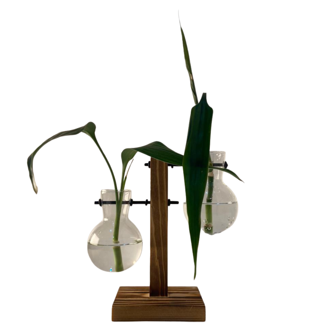 Vaso em vidro para planta hidropônica com 2 bulbos