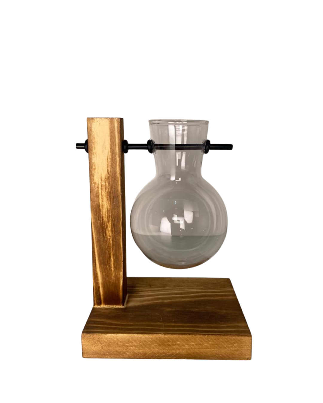 Vaso em vidro para planta hidropônica com 1 bulbo
