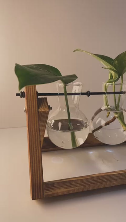 Vaso em vidro para planta hidropônica com 3 bulbos